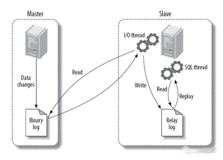 mysql